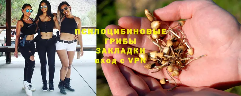 Галлюциногенные грибы GOLDEN TEACHER  Бирск 